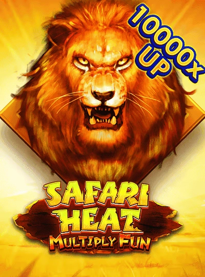 T20 World Cup betting cover